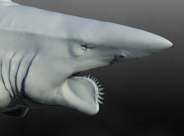 helicoprion 1/40 in White Natural Versatile Plastic