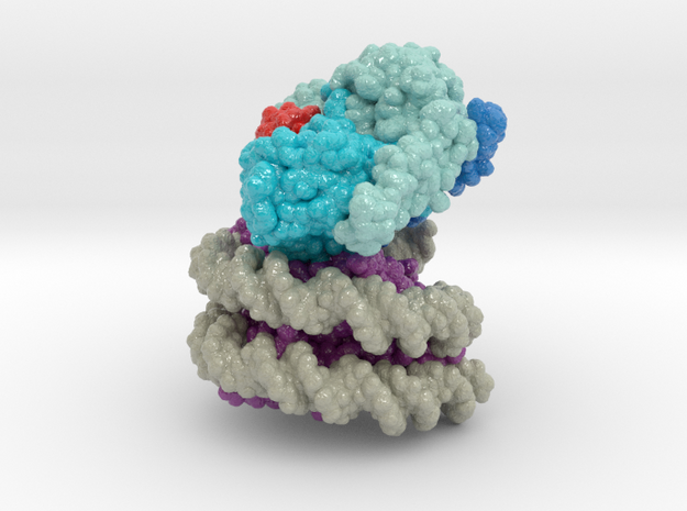 Nucleosome 6UH5 vA4 in Glossy Full Color Sandstone: Extra Small