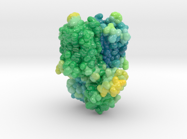 Mu-Opioid Receptor in Complex with Morphinan 4DKL in Glossy Full Color Sandstone: Extra Small