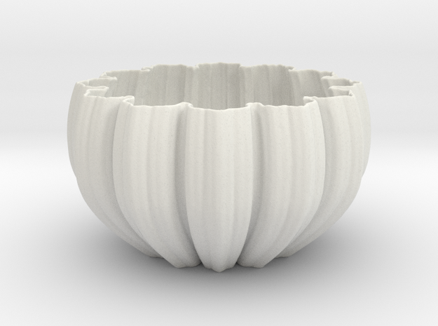 Koch Bowl in White Natural Versatile Plastic