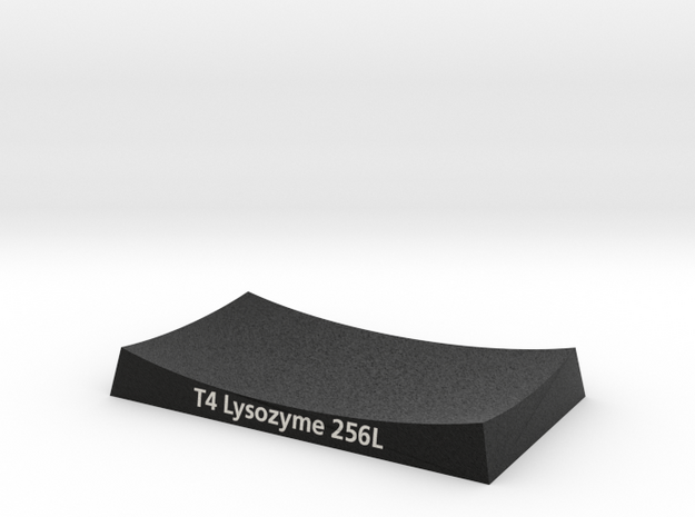 T4 Lysozyme Base 256L in Matte High Definition Full Color: Small