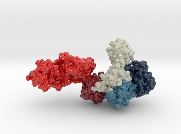 TAQ DNA Polymerase 1TAQ in Glossy Full Color Sandstone: Extra Large