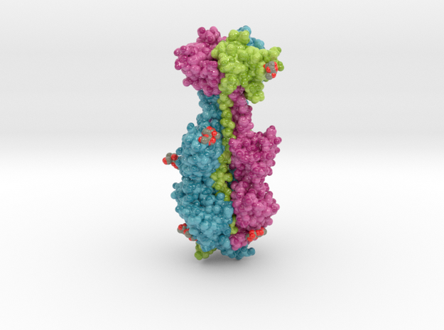 Cytomegalovirus Glycoprotein B 5cxf in Smooth Full Color Nylon 12 (MJF): Small