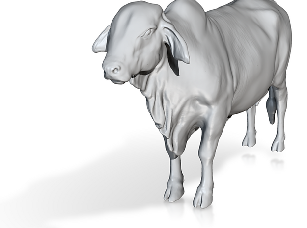 1/64 standing forward brahman cow in Tan Fine Detail Plastic