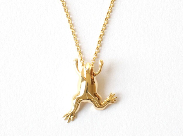 Xenopus Frog Pendant - Science Jewelry in 14k Gold Plated Brass