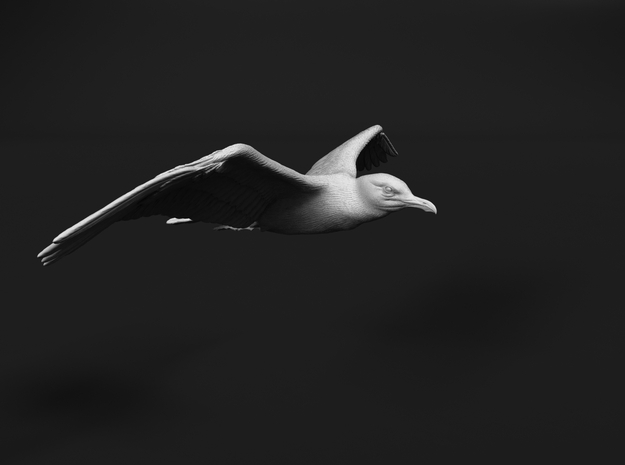 Herring Gull 1:48 Flying 1 in Tan Fine Detail Plastic