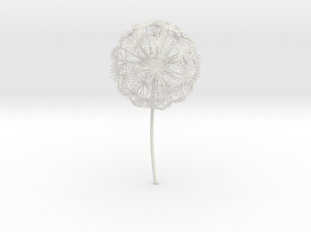 Dandelion abstract art piece in White Natural Versatile Plastic