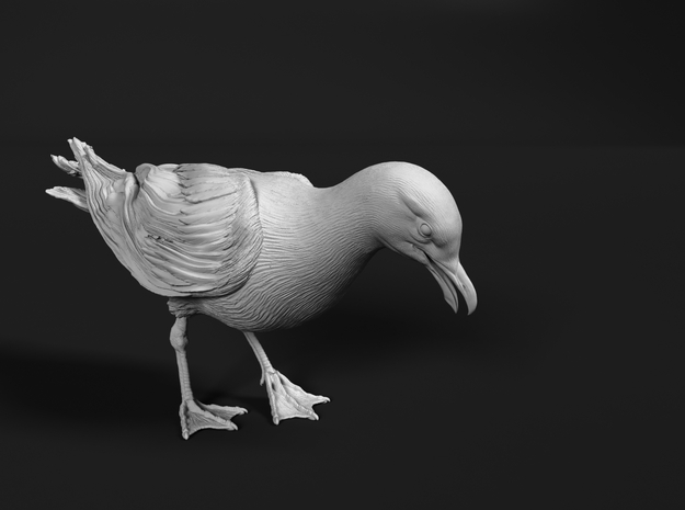 Herring Gull 1:20 Looking down 2 in Tan Fine Detail Plastic