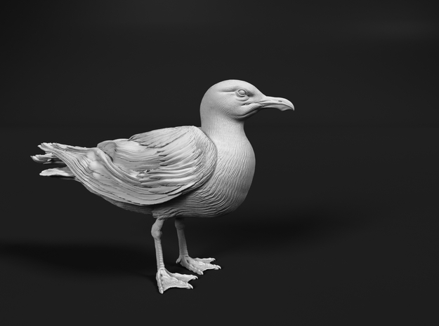 Herring Gull 1:48 Standing 2 in Tan Fine Detail Plastic