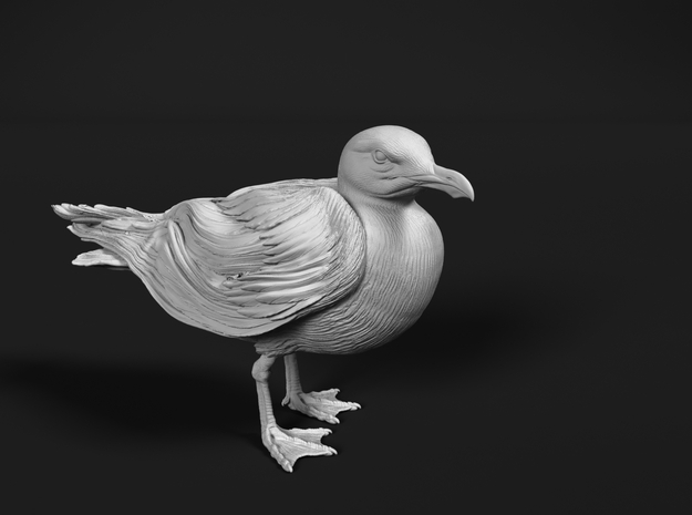 Herring Gull 1:6 Standing 3 in White Natural Versatile Plastic