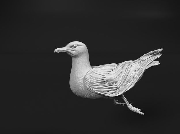 Herring Gull 1:9 Swimming 1 in White Natural Versatile Plastic