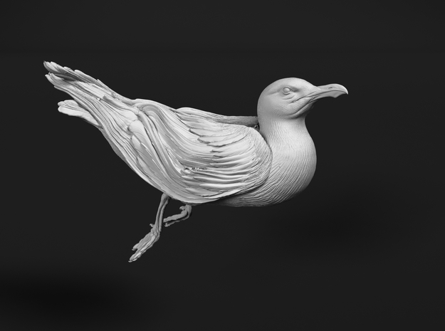 Herring Gull 1:9 Swimming 2 in White Natural Versatile Plastic