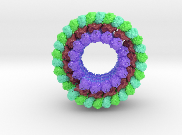 display_Microtubule-3j2u_max-d015_x150-12cm_E24 in Glossy Full Color Sandstone: Large
