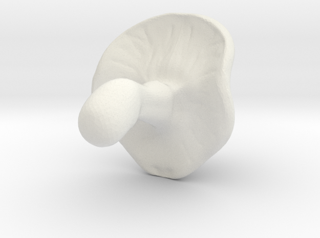 mushroom_test in White Natural Versatile Plastic