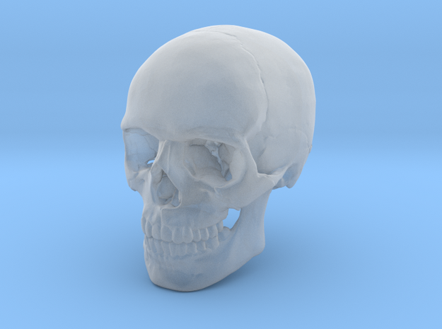 Skull in Clear Ultra Fine Detail Plastic