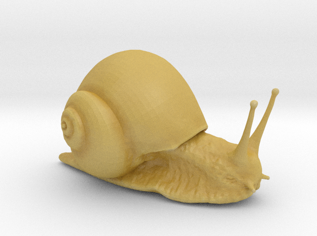 Snail in Tan Fine Detail Plastic