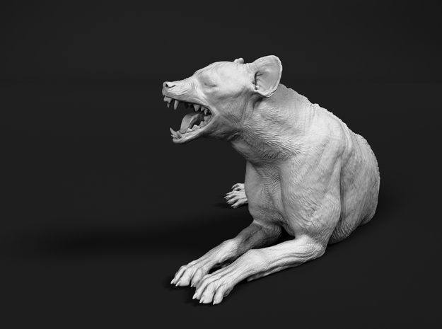 Spotted Hyena 1:25 Lying Male in White Natural Versatile Plastic