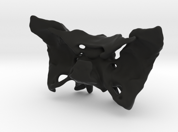 Sphenoid Bone Pendant in Black Natural Versatile Plastic