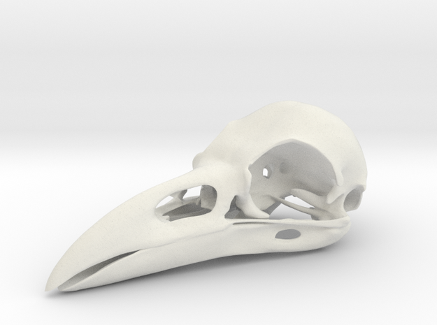 Raven skull in White Natural Versatile Plastic: Medium