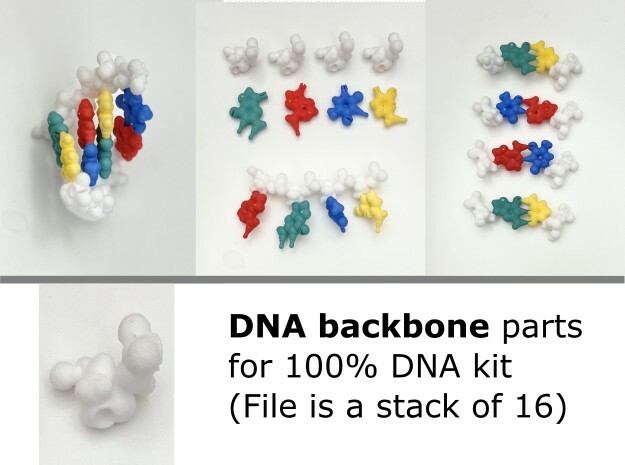 DNA backbone piece at 100% scale (bundle of 16) in White Processed Versatile Plastic
