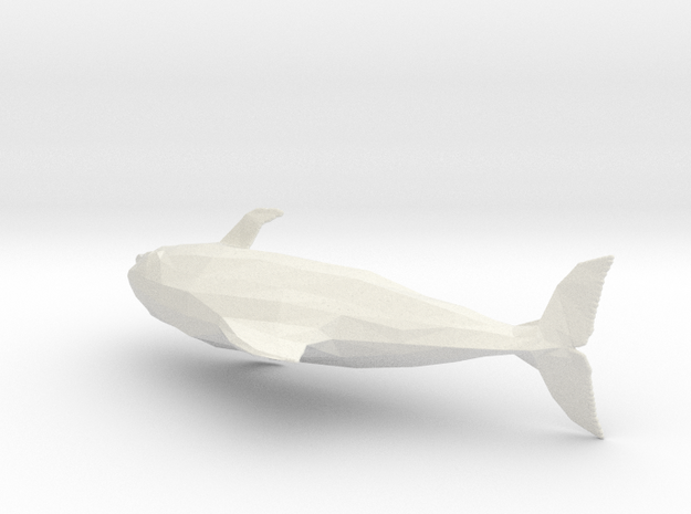 Dolphin in White Natural Versatile Plastic: Medium