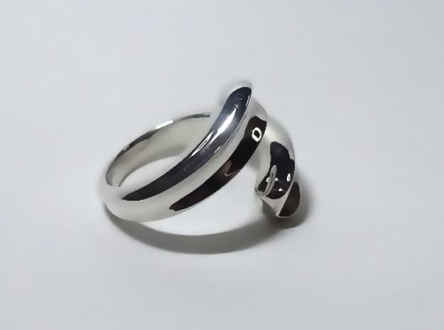 Normal Rotation Helix Ring in Polished Silver