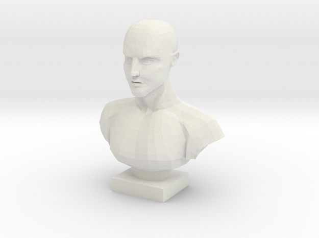 Bust of a Man in White Natural Versatile Plastic