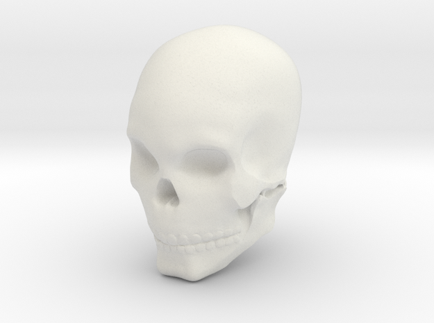 Skull in White Natural Versatile Plastic