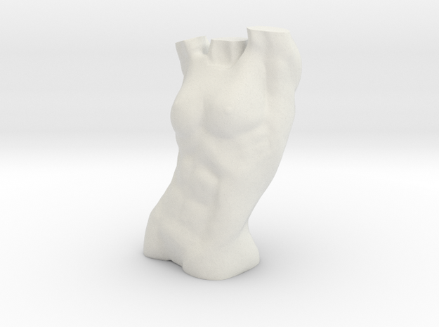 Female Torso in White Natural Versatile Plastic