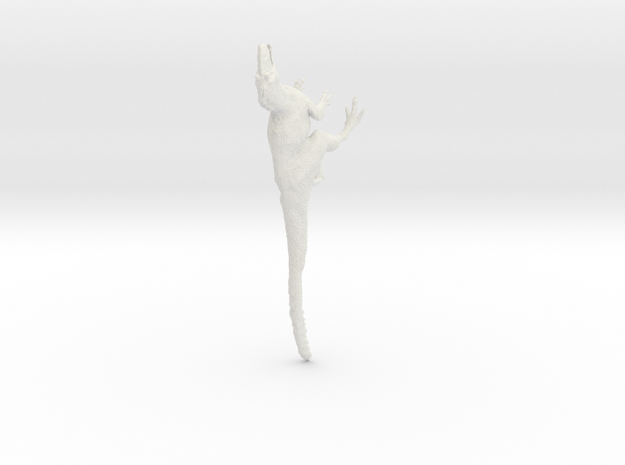 Yutyrannus 1:40 scale model in White Natural Versatile Plastic