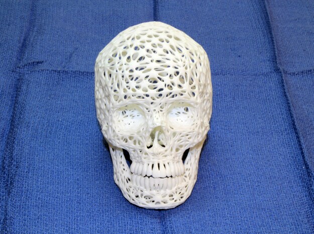 Lace Skull, Half Size in White Natural Versatile Plastic