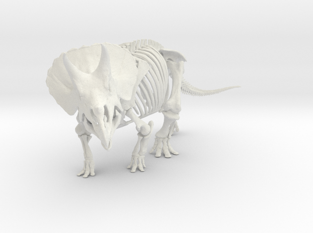 Triceratops horridus skeleton 1:40 scale in White Natural Versatile Plastic