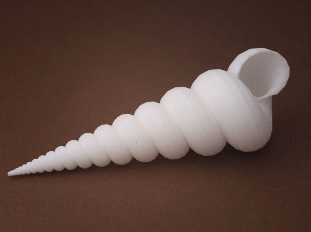 tower screw shell - seashell in White Natural Versatile Plastic