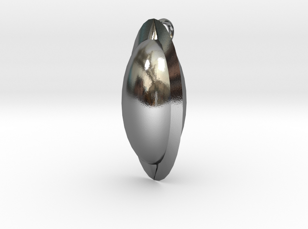 Oval Pendant in Polished Silver