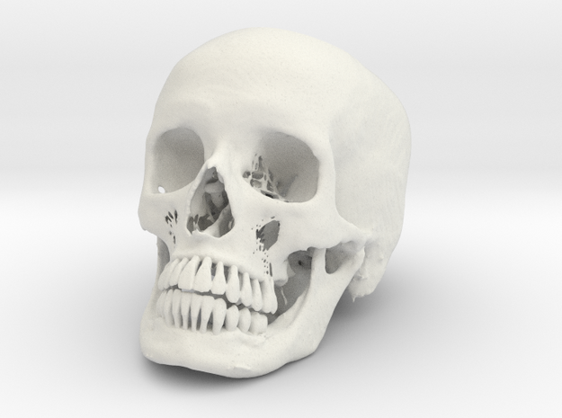 Jack-o'-lantern skull from CT scan, half size