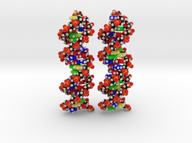 Custom DNA Molecules Ariana + Miriam, Large in Full Color Sandstone