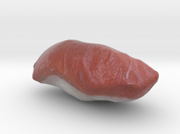 The Sushi of Tuna in Full Color Sandstone