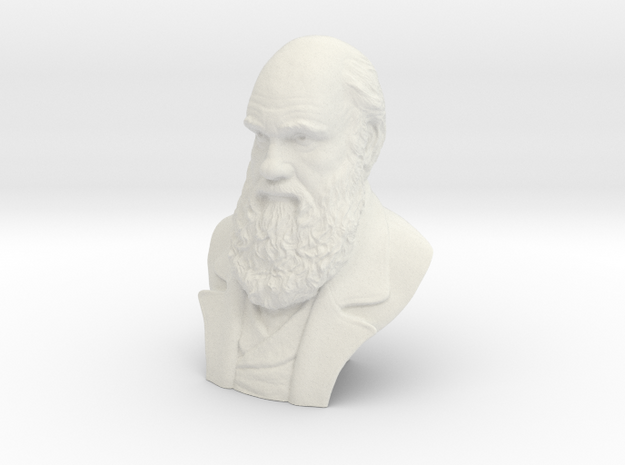 Charles Darwin 6" Bust in White Natural Versatile Plastic