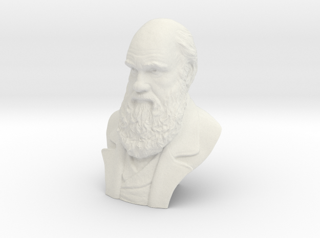 Charles Darwin 4"Bust in White Natural Versatile Plastic