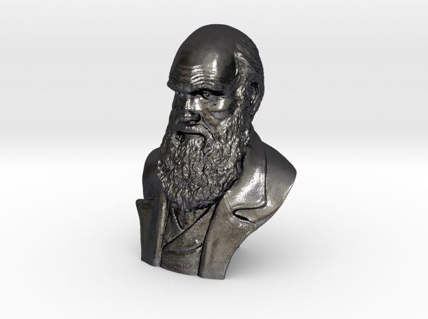 Charles Darwin 16" Bust in Polished and Bronzed Black Steel
