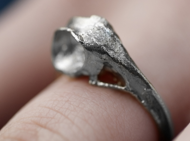 Hummingbird Skull Ring in Natural Silver