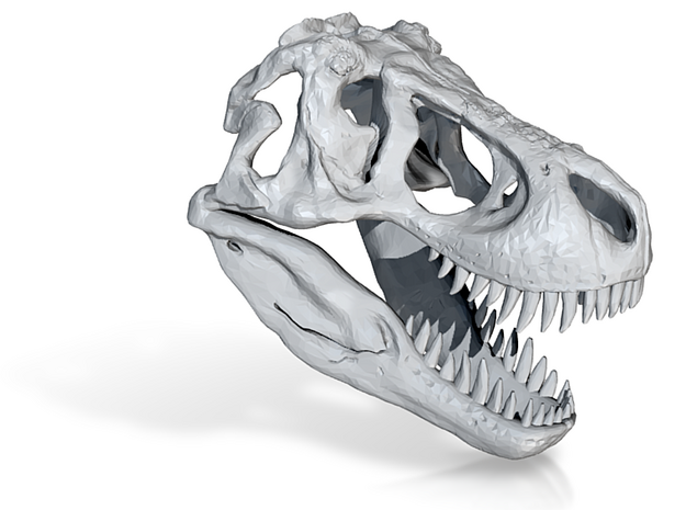 Digital-Tyrannosaurus Dinosaur Skull - T-Rex Skull in Tyrannosaurus Dinosaur Skull - T-Rex Skull 1:40