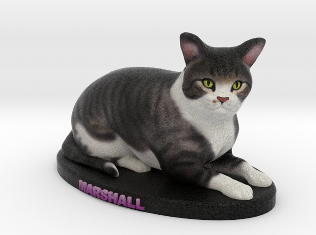 Custom Cat Figurine - Marshall in Full Color Sandstone