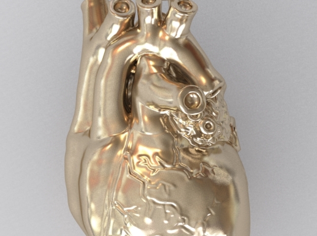 3D-Printed Anatomical Heart Pendant in Polished Gold Steel