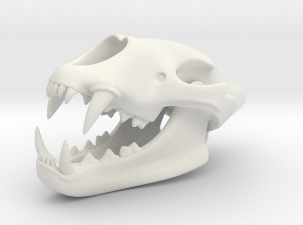 3D Printed Lion Skull in White Natural Versatile Plastic