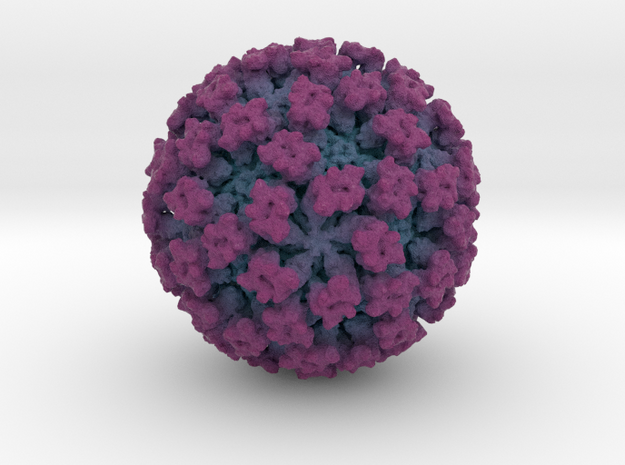 Feline Calicivirus radial colour 1Mx mag in Full Color Sandstone