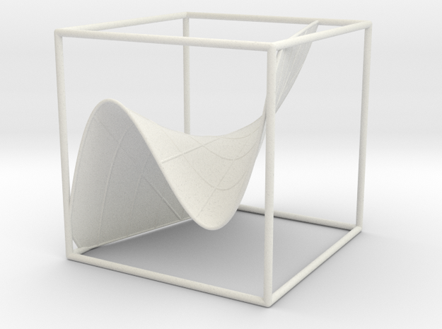 A 3d graph of cubic functions (with some curves) in White Natural Versatile Plastic: Medium