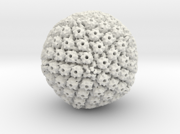 Herpes Simplex virus capsid, radial colour 500kx m in White Natural Versatile Plastic