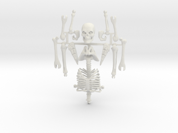 Articulated Skeleton Large 