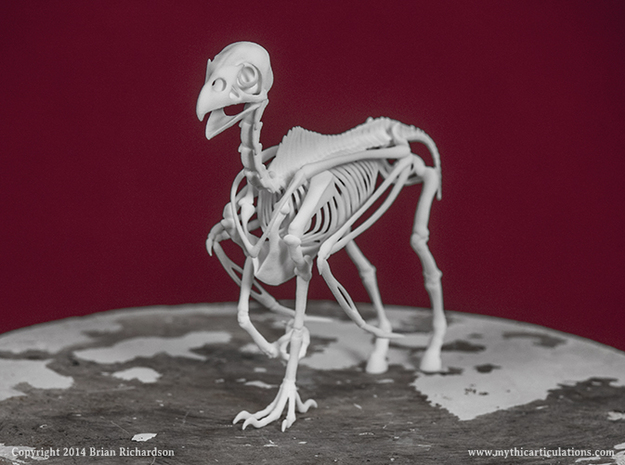 Hippogriff Skeleton in White Natural Versatile Plastic